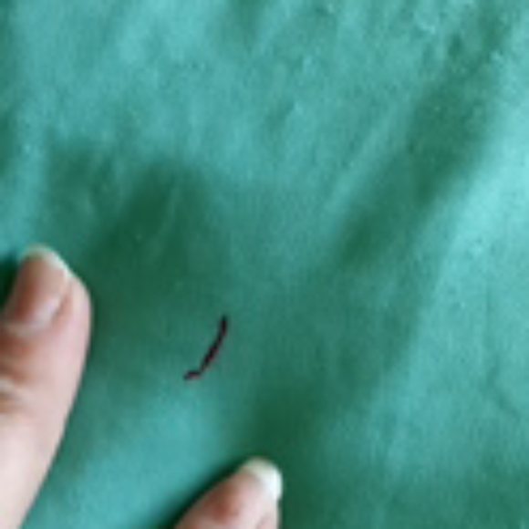 Torrid Chiffon Tank - Picture 4 of 5